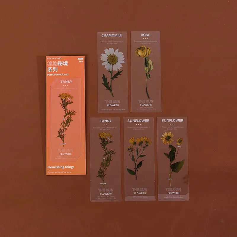 Lot de 5 Marque-Pages Vintage