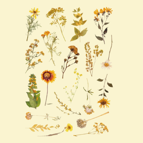 Lot de 40 Stickers Fleurs Kawaii