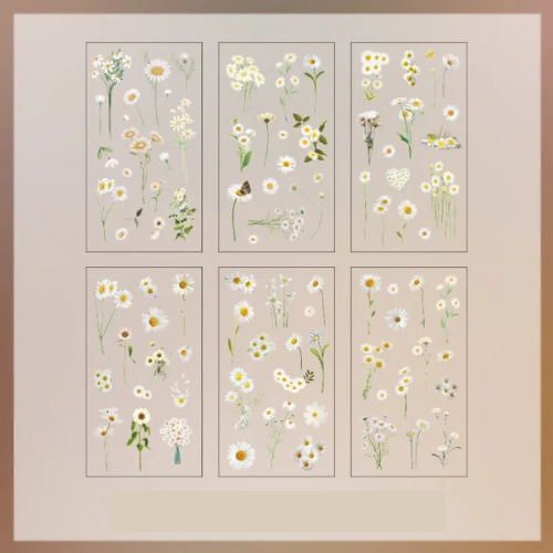 Lot de 6 autocollants transparents