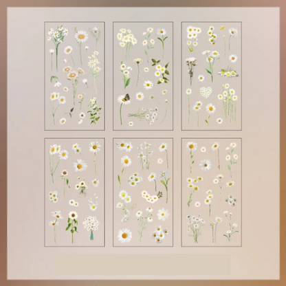 Lot de 6 autocollants transparents