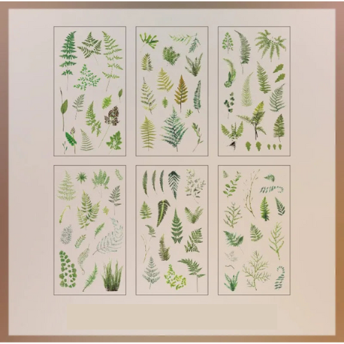 Lot de 6 autocollants transparents