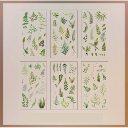 Lot de 6 autocollants transparents