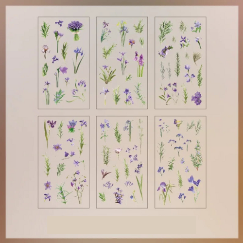 Lot de 6 autocollants transparents