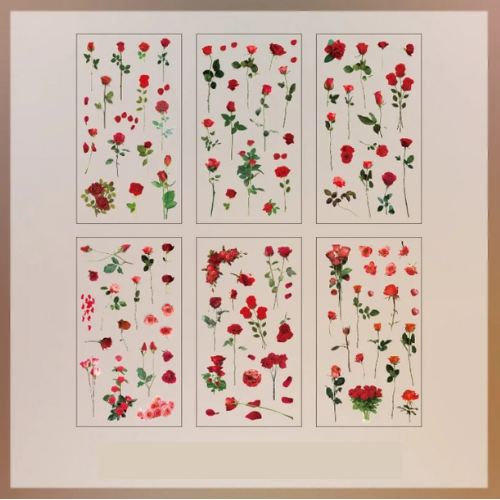 Lot de 6 autocollants transparents