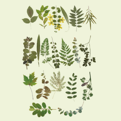 Lot de 40 Stickers Fleurs Kawaii