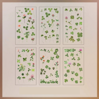 Lot de 6 autocollants transparents