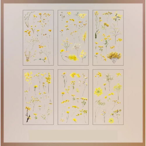 Lot de 6 autocollants transparents