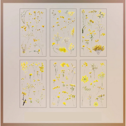 Lot de 6 autocollants transparents