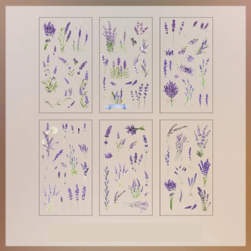 Lot de 6 autocollants transparents