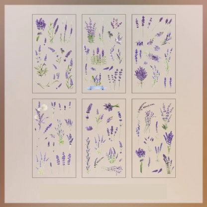 Lot de 6 autocollants transparents