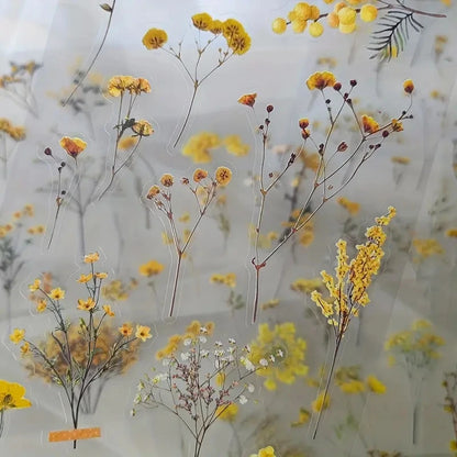 Lot de 6 autocollants transparents