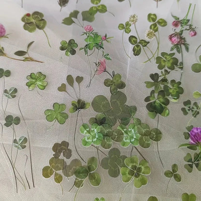 Lot de 6 autocollants transparents